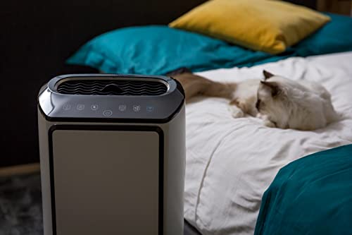 Rowenta Intense Pure Air Connect XL