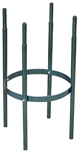 |Y IxXN ppCv XO[ ACA Y {