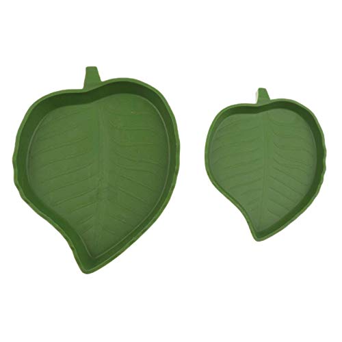 Agger Feeding Bowl Small Pets Corner Feeding Bowl Shallow Reptile Amphibians