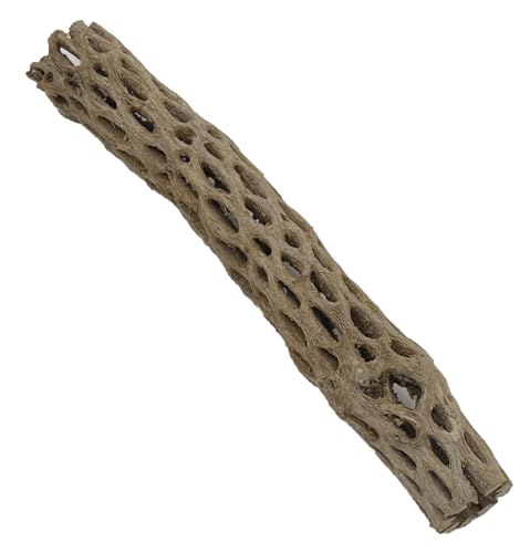 Image of Awesome Aquatic XL Cholla Wood Tubes, Teddy Cane, 12 inch x up to 2 inch | XL Hideouts • Hollow tubes • Natural biofilm surface • Secure hideouts • Shrimp plecos hermit crabs reptiles • Natural decor