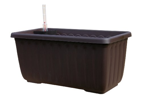 Schumm 1909026025 Siesta Lux - Jardinera de balcón con sistema de riego automático (60 x 20 x 19 cm)