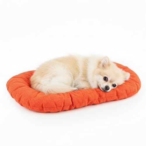 Natural Exit - Letto e Cuscino per Cani e Gatti da Interno, Morbido, Design Confortevole in Tessuto Resistente – Cuccia per Cani da Interno in Varie Misure e Colori (Arancione, 60x45x7)