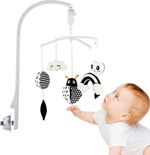 xr[oC - xr[xbhpTXyVu oC,xr[xbh oC yt xr[xbh x KK  _炩fB[  nCRgXg Aj} xr[J[p