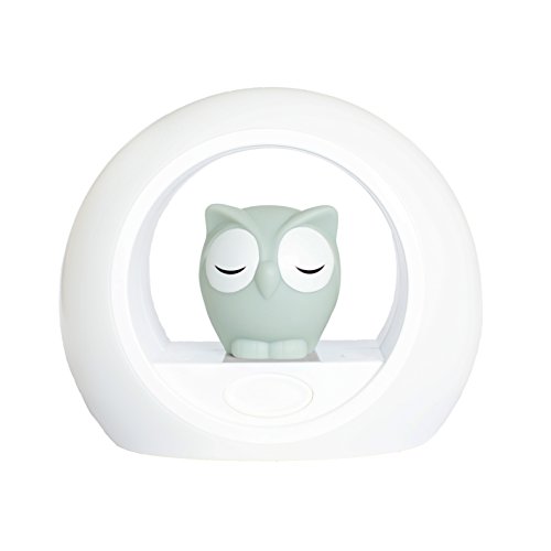 Image of Zazu Kids Voice Activated Nightlight Lamp - Sleep Trainer, Grey Owl Lou