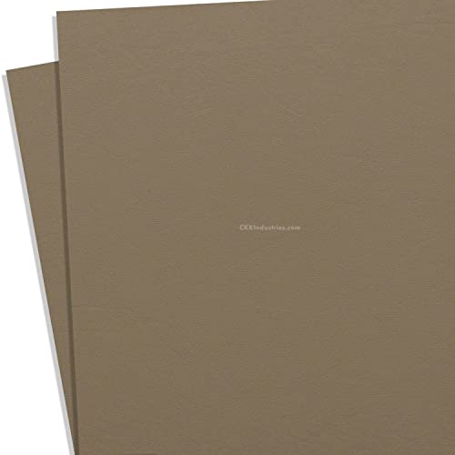 KYDEX Thermoform Sheet - (P1 Texture) - (.093 Thickness) - (8in x 12in) - (Flat Dark Earth Spring) - (2 Sheets) - DIY Holster Making, Airsoft Armor, Cosplay Uniforms