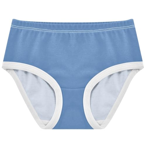 Joisal Slate Blue Toddler Girls Underwear 2t Cotton Little Girl Panties Funny Briefs Undies Kids