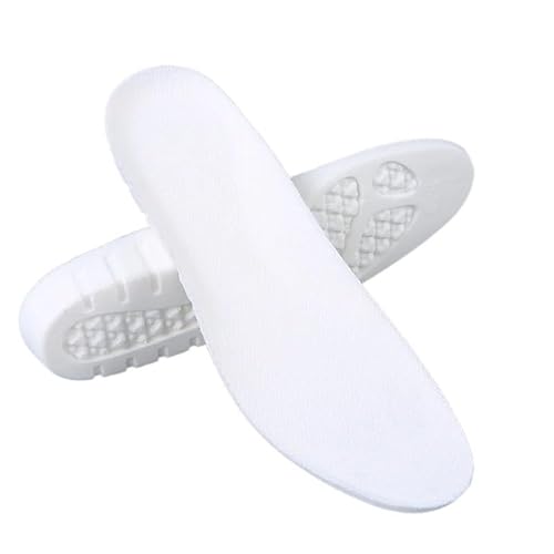 YMGSCC(NĂ) \tgeX|[cC\[ՌzʋCCpbhjjOyʃC\[(43)