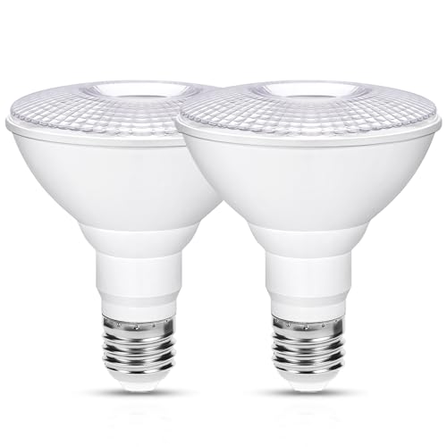 Flaspar 2 Pack PAR30 LED Flood Light Bulb Outdoor