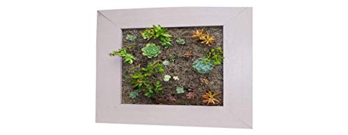 DIY Vertical Garden Wall Mounted Planter Box Building Plans - Herb Pot Decor, vwp44