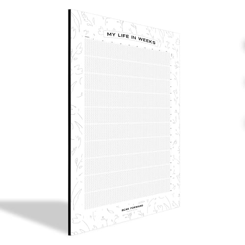 Blink Forward Track Your Life in Weeks – 11”x17” Life Calendar for Growth Mindset, Goal Setting & Intentional Living – Countdown Calendar & Habit Tracker – Premium Aluminum Wall Decor