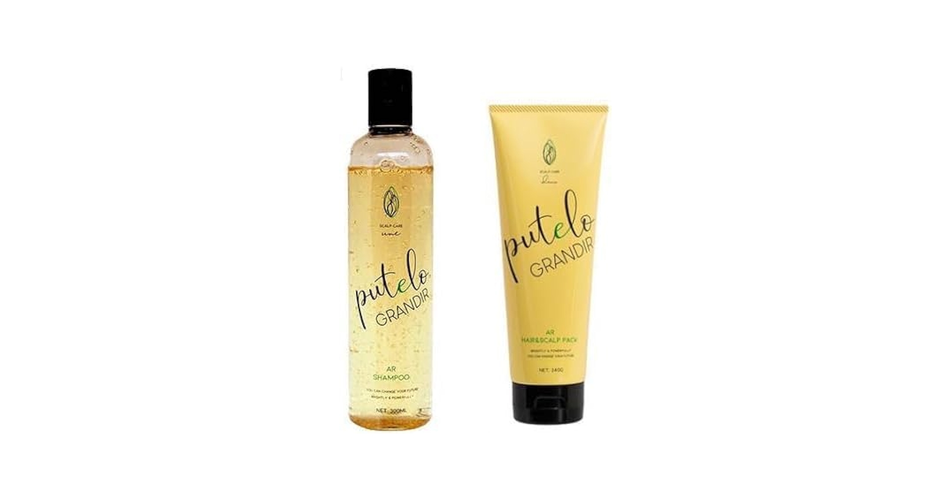 Amazon | putelo プテロ/AR シャンプー グランディール 300ml & ヘア