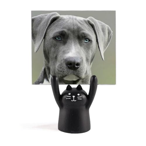 Support pour photos de chien et chat noir de bureau porte-photo de table salon