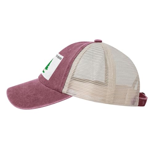 Gorra baseball Appeal to Heaven unisex rojo talla única miniatura 3