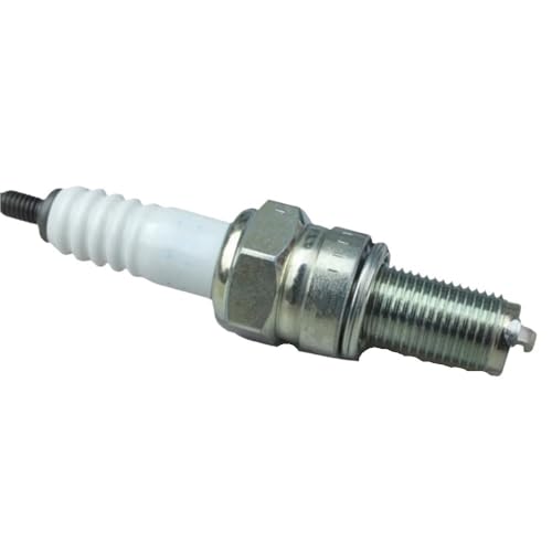 Bougies d'allumage pour BJ300GS et BJ250-15 moto Benelli