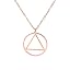 IP Rose Gold