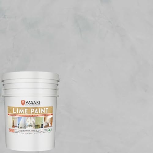 VASARI Lime Paint Lime Plaster & Paint | Interior or Exterior | Hot Selling Colors Assorted Sizes (5 Gallon, Cement Gray #21)