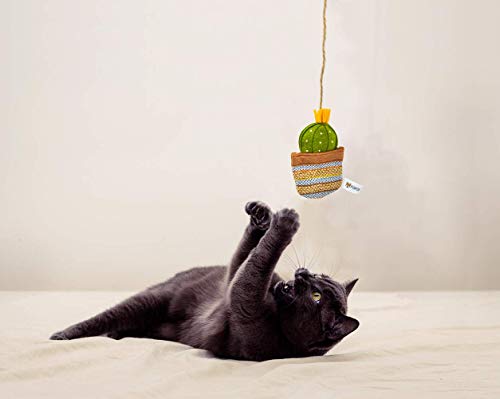 Image of BarkButler x Fofos Cactus Wand EL Paso Cat Teaser Toy|US Grade Catnip Inside|for Kittens+Older Cats|Durable Wooden Stick+Robust Rope|Durable Pet Toy
