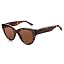 C02 Tortoise Frame Brown Lens