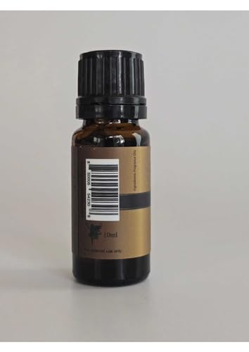 Image of Maple Pecan - Premium Grade Fragrance Oils - 10ml - Scented Oil