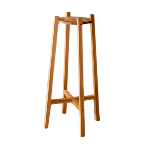 What are the bonsai bambo cages