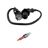 TRX300 Ignition Coil with Spark Plug for TRX 300 FourTrax 1988 1989 1990 1991 1992 1993 1994 1995 1996 1997 1998 1999 2000 by Swess