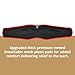 AFP Red & Black Heavy-Duty 3 D-Ring Aluminum Hardware, Premium Thick 8’’ Padded Back Support Waist Body Belt w/ Tongue Buckle & Premium Stitching, Fall Protection Work Positioning Restraint (OSHA/ANSI PPE)