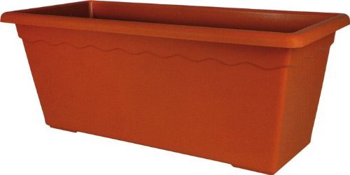 10 Vasi Per Piante In Plastica, Diametro 8 Cm - Robusti E Riutilizzabili, Ideali Per Orchidee, Acquari E Coltivazione Idroponica - 6