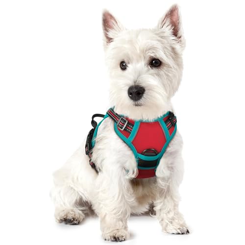 Image of rabbitgoo Dog Harness No Pull with 2 Leash Clips, Adjustable Soft Padded, Reflective Oxford No Choke Pet Vest with Easy Control Handle for Puppy, Red & Teal, XS