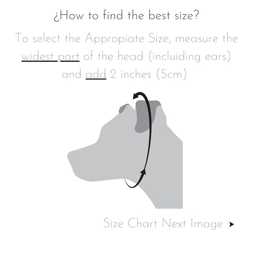 Collares Y Correas, Tools Imagen adicional