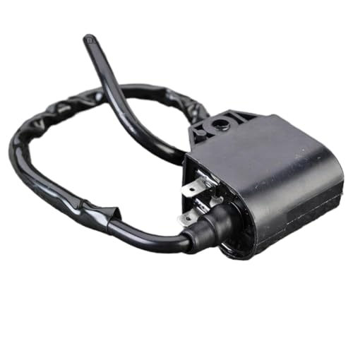 Bobine d'allumage Assy 33410-20E01 pour scooter Suzuki Vecstar AN125 AN150 de 1995 à 2000
