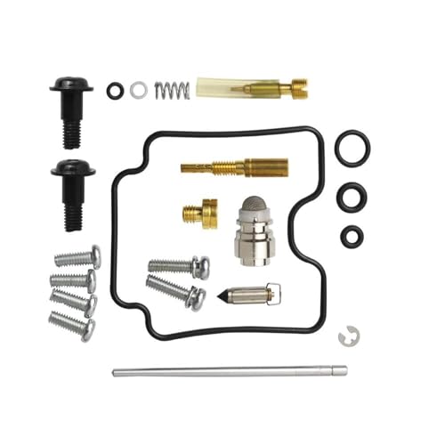 Kit de réparation de carburateur contre fuites moto XV1600 Star 1999