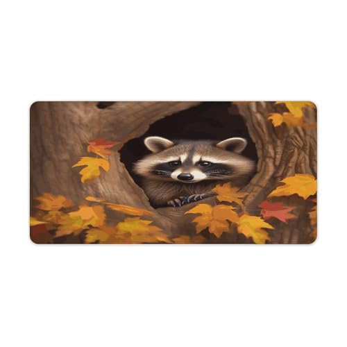 Raccoon en el Agujero del Árbol Pad Grande para Escritorio