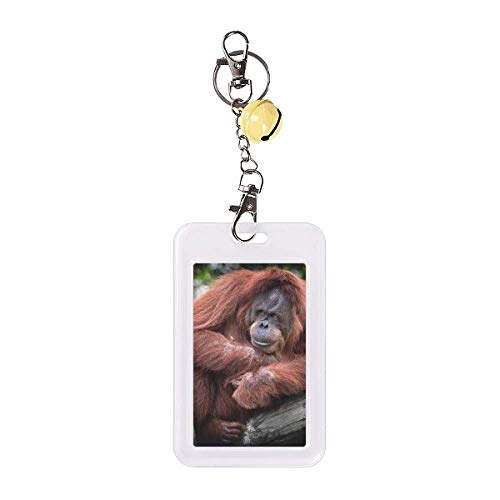 Étui de protection pour carte de crédit design orang-outan premium