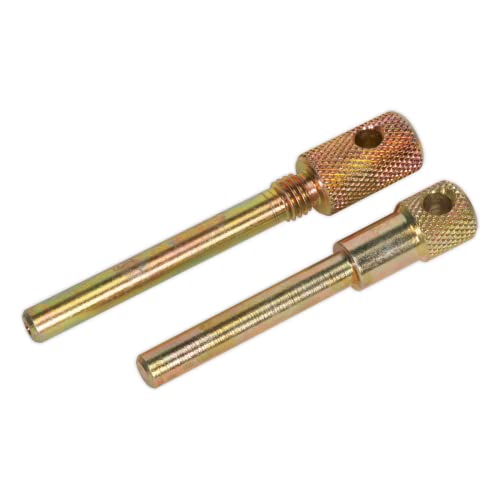 Sealey Vse1901A Diesel Engine Setting/Locking Kit Renault/Nissan Suzuki Dacia