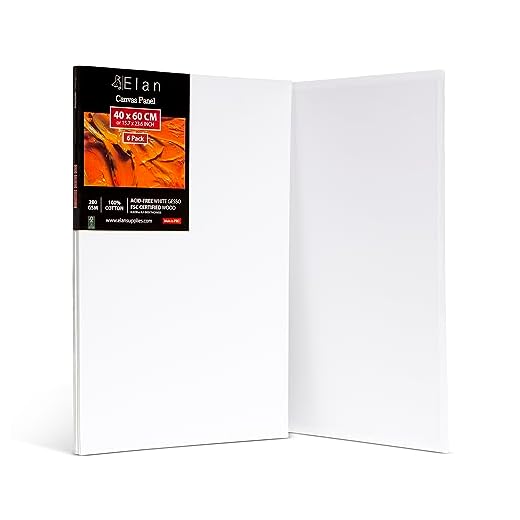 Elan Tela Lienzos para Pintura 40x60, 6-PACK 100% Algodón Lienzos para Pintar Grandes, Paneles Lienzo para Pintar, Tablilla Entelada, Canvas para Pintar, Tela Lienzo para Pintar, Tela para Pintar