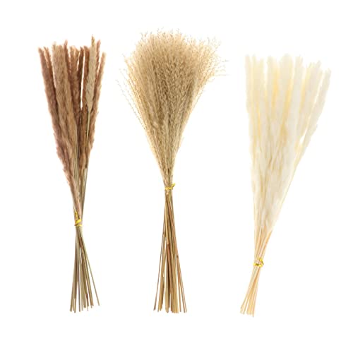 60 Peças de Decoração de Buquê de Flores de Junco de Seca Dos Pampas