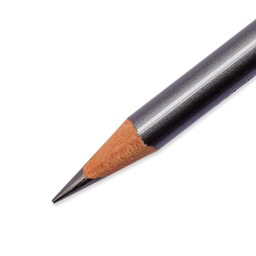 Prismacolor SAN14420 Lápiz Ebony Sketching 12 unidades miniatura 7