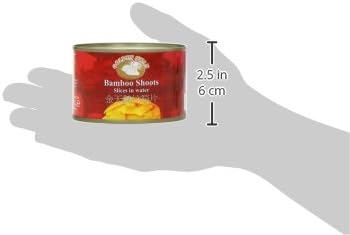 Golden Swan Brand Bamboo Shoot Slices 227 g