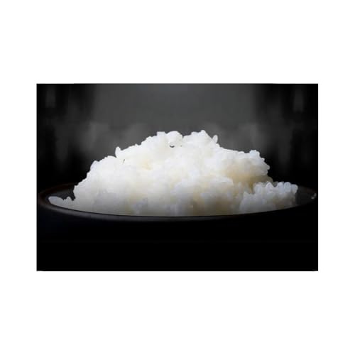 令和7年産コシヒカリ 精米(無洗米)5kg 佐渡市いのまた米