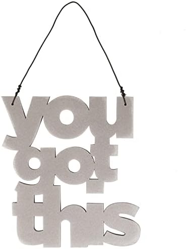 You Got This 4" x 6" Sentiment Hanging Wall Décor with Twine Hanger, Metallic Silver