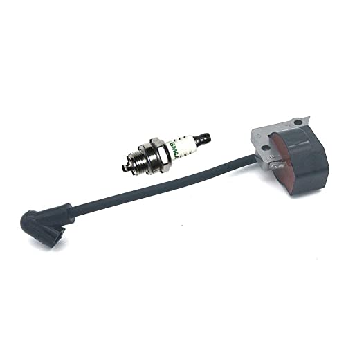 Module de bobine d'allumage haute durabilité pour modèle LT-30 MS-30 - 6