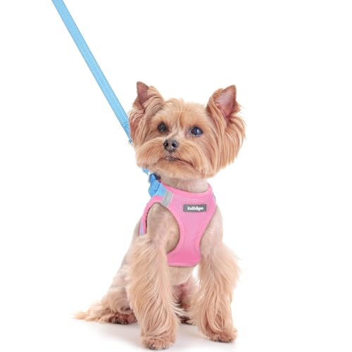Image of rabbitgoo Dog Harness Small Sized and Leash Set, Step-in Puppy Pet Vest