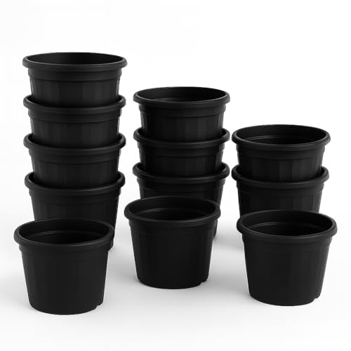 Image of 8 Inch Heavy Duty Plastic Planter | Grower Pot /Garden Pot for Home & Garden (Black) (Pack of 12)