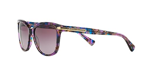 Image of Coach womens Hc8132 Cat Eye Sunglasses