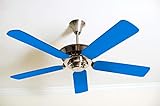 Fancy Blade Ceiling Fan...