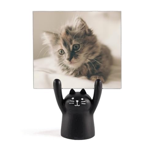 ̃LeBDF̔L̎ʐ^ J[gD[LX^h^z_[