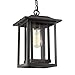 Beionxii Outdoor Pendant Light, Large Exterior Hanging Lantern Matte Black with Clear Glass Panel Shade, Pendant Chain Adjustable