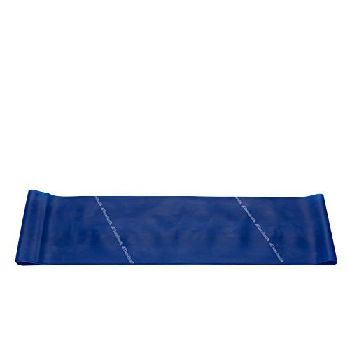Theraband Extra Heavy Resistance Latex Exercise Band 4 Feet(Length) x 5 Inches(Width) Blue (B073SZFKMT) Amazon Price History, Amazon Price Tracker