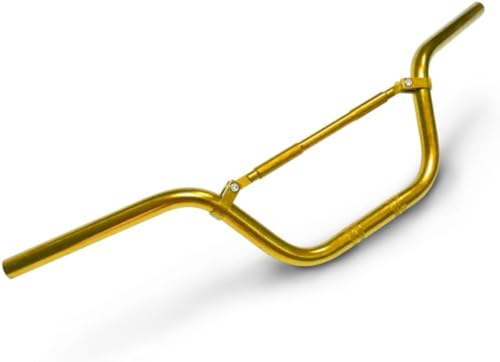 BLINGOOD 22 mmI[goCnho[A~jEnho[XeAOzC[[U[d]ԃANZT[ (A) [sAi]