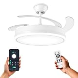 IluminaShop Ventilador de Techo con luz LED White-Olg con Luz CCT Regulable y Control de Intensidad, Motor DC 30W+Luz 36W, Silencioso, 6 Velocidades, 4 Aspas Retráctiles, Temporizador. IS8831